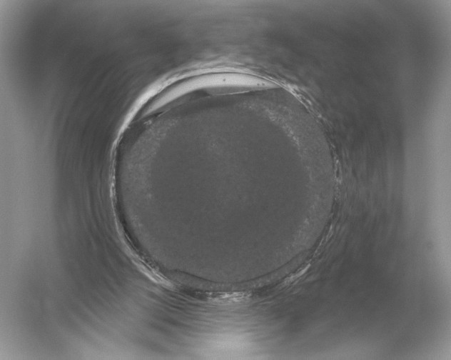 X0000051920056200507222145