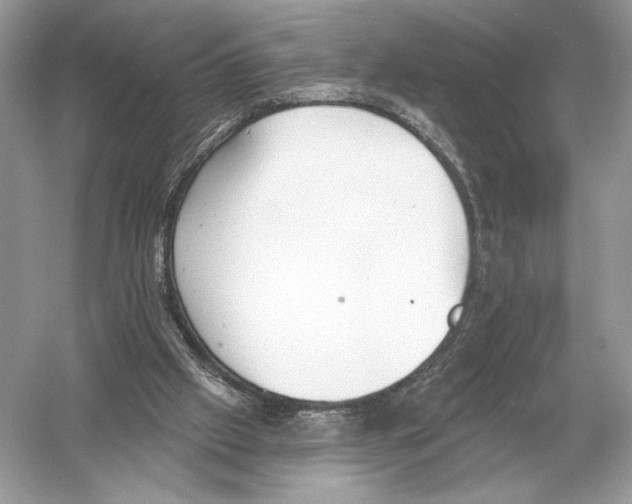 X0000051920057200507222145