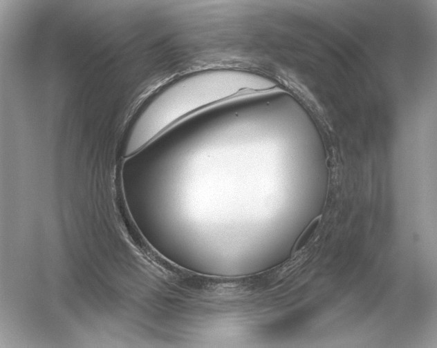 X0000051920058200507222145