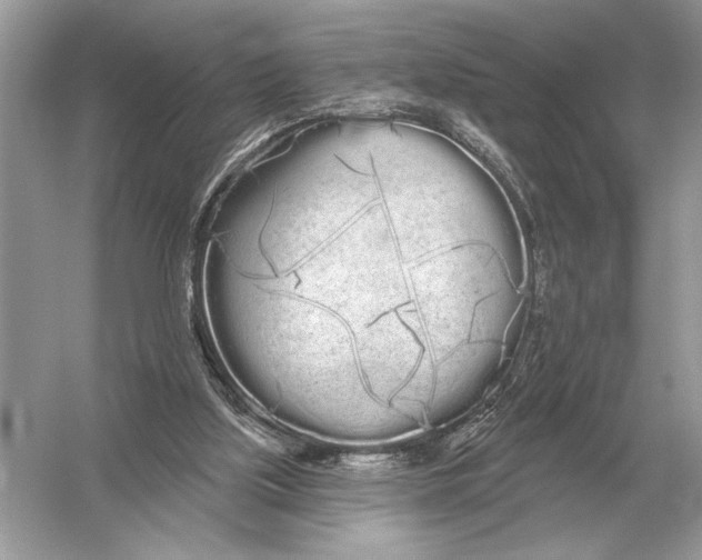 X0000051920059200507222145