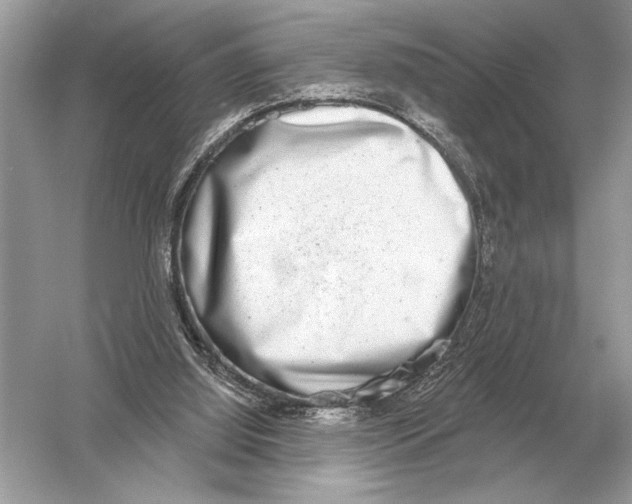 X0000051920060200507222145