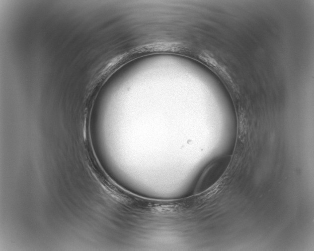 X0000051920062200507222145