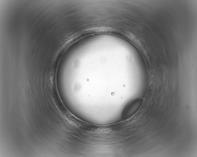 X0000051920063200507222145