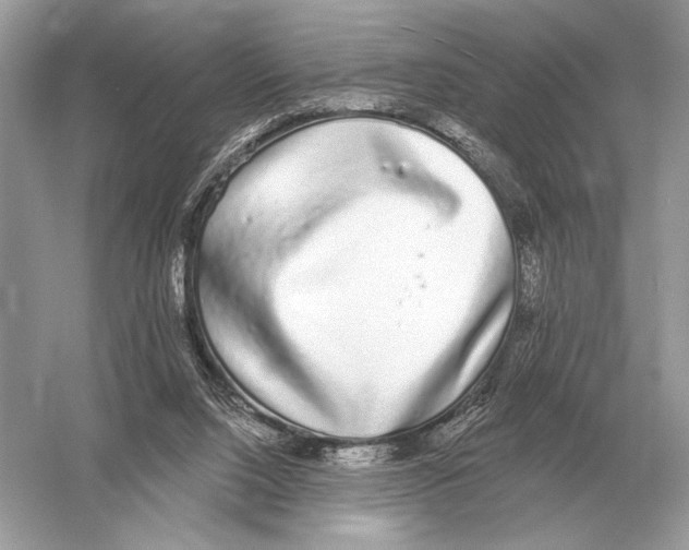 X0000051920064200507222145