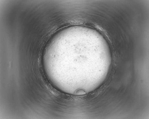 X0000051920065200507222145