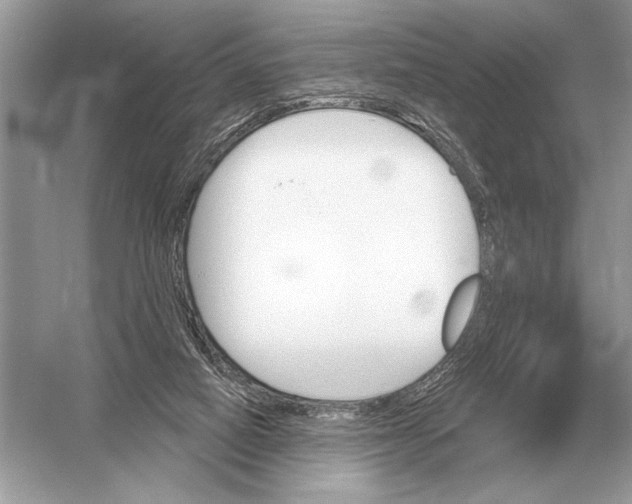 X0000051920066200507222145