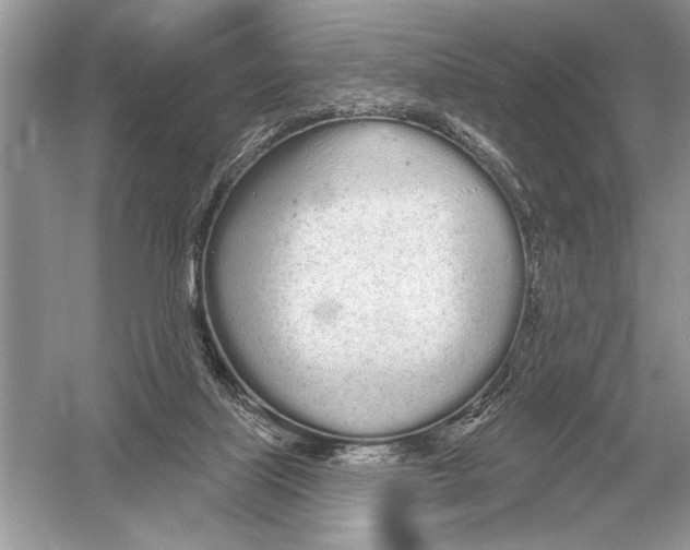 X0000051920067200507222145