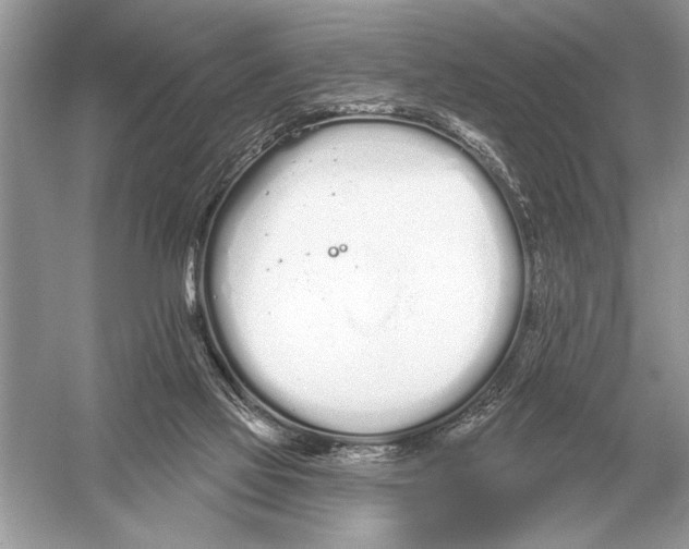 X0000051920069200507222145