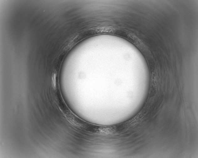 X0000051920070200507222145