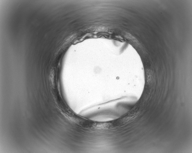 X0000051920072200507222145