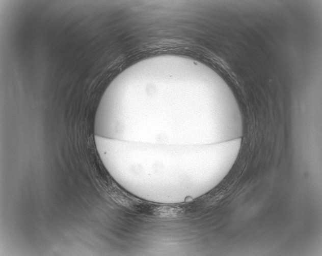 X0000051920073200507222145