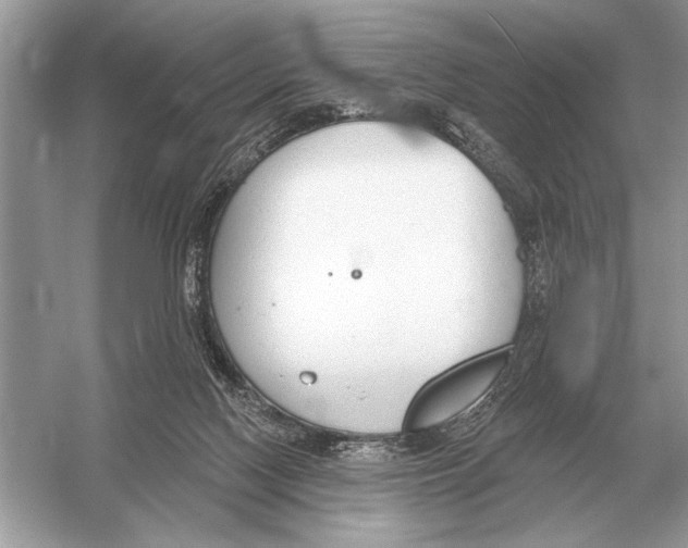 X0000051920074200507222145