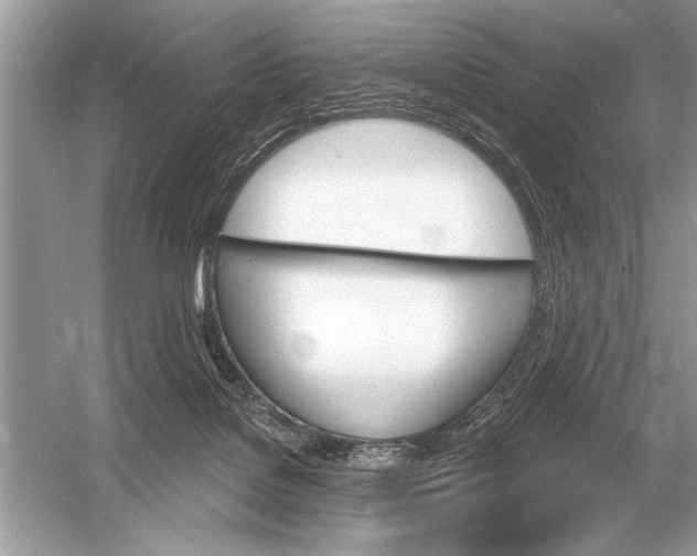 X0000051920076200507222145