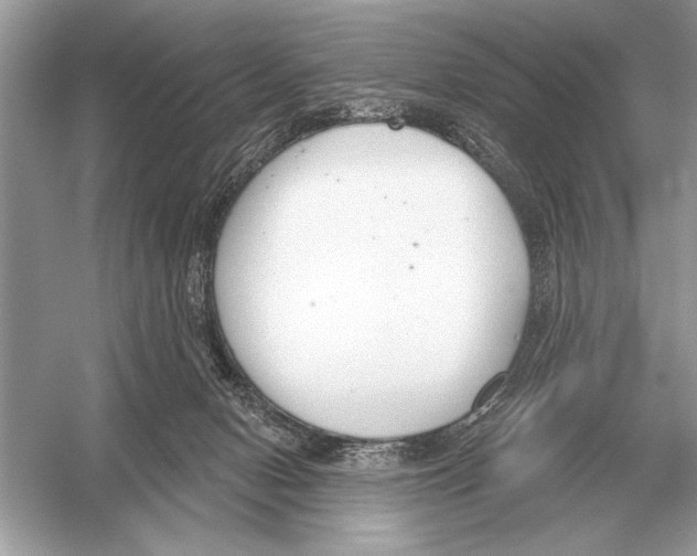 X0000051920078200507222145