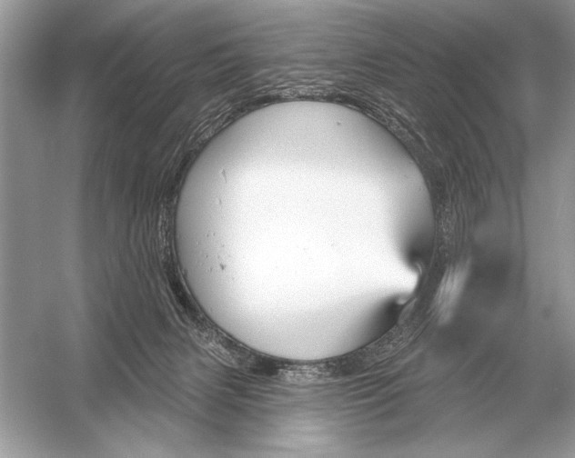 X0000051920079200507222145