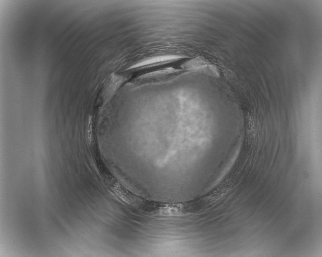 X0000051920080200507222145