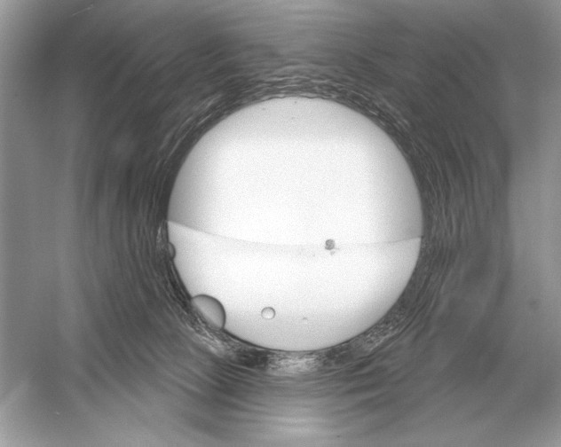 X0000051920081200507222145