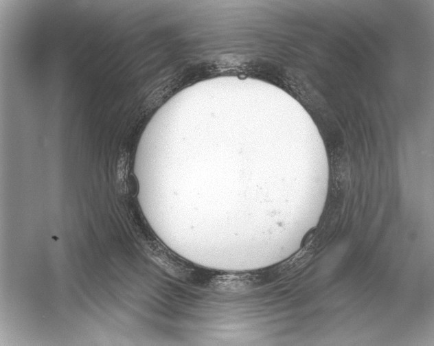 X0000051920082200507222145