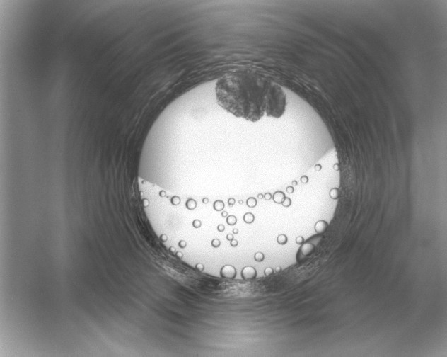 X0000051920083200507222145