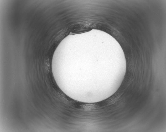 X0000051920085200507222145