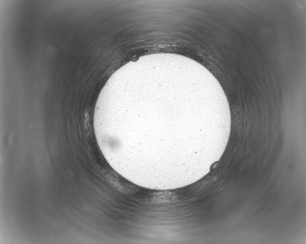 X0000051920087200507222146