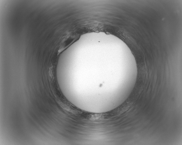 X0000051920088200507222146