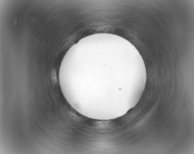 X0000051920089200507222146