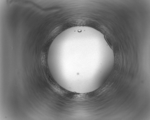 X0000051920092200507222146