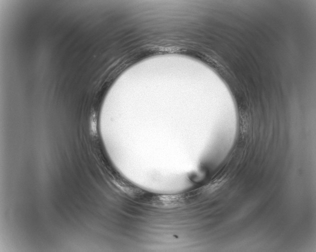 X0000051920095200507222146