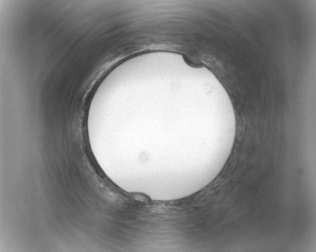 X0000051920098200507222145