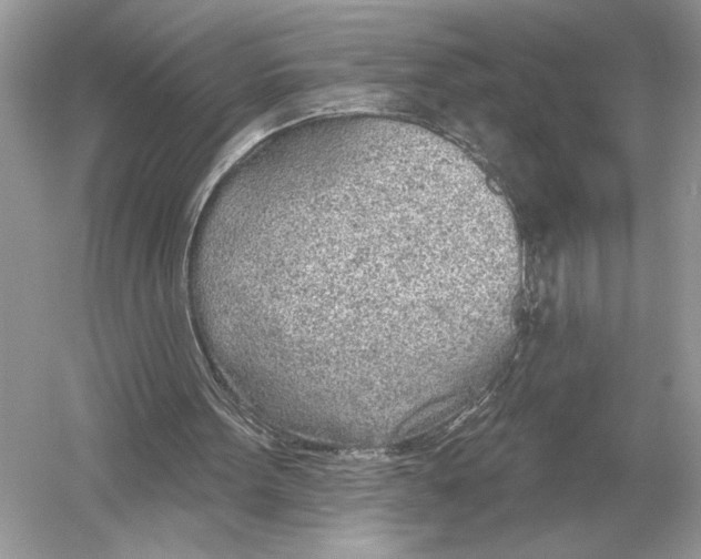 X0000051920099200507222145