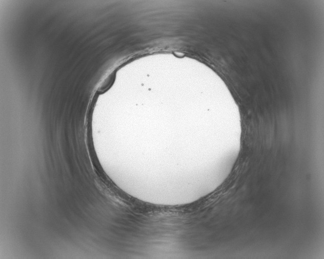 X0000051920100200507222145