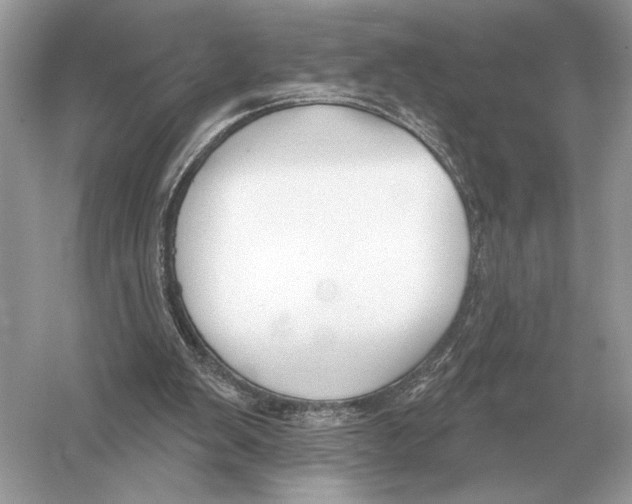 X0000051920103200507222145