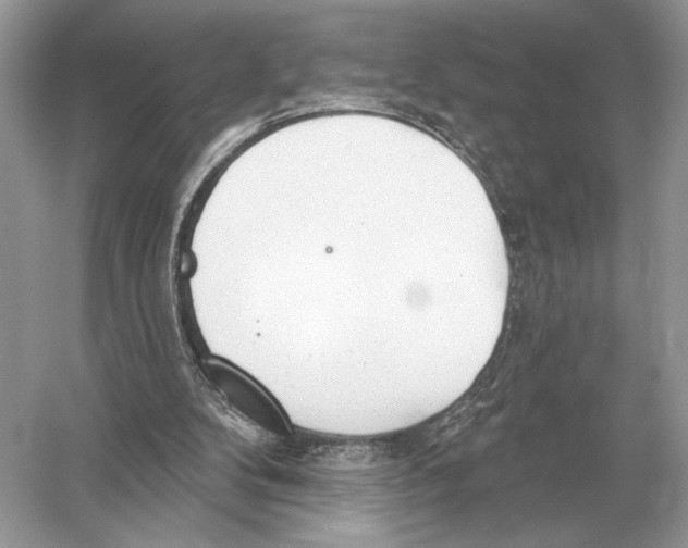 X0000051920104200507222145