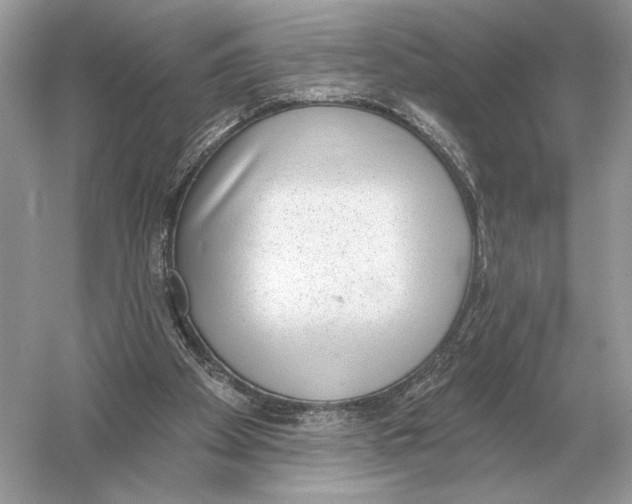 X0000051920105200507222145