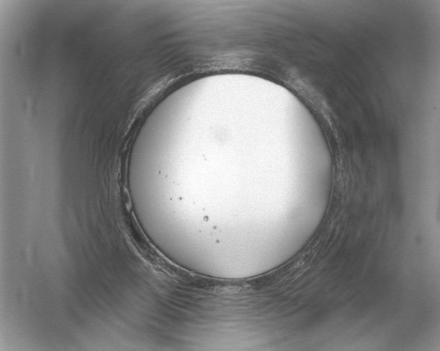 X0000051920107200507222145