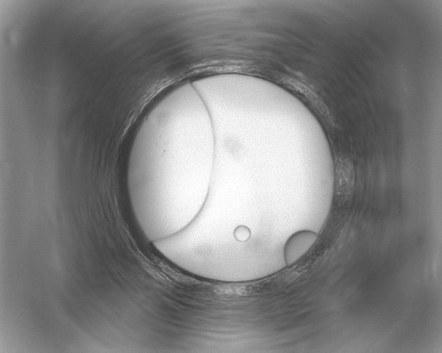 X0000051920110200507222145