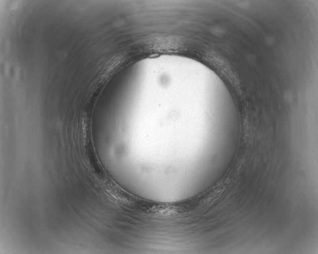 X0000051920113200507222145