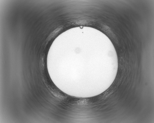 X0000051920116200507222145