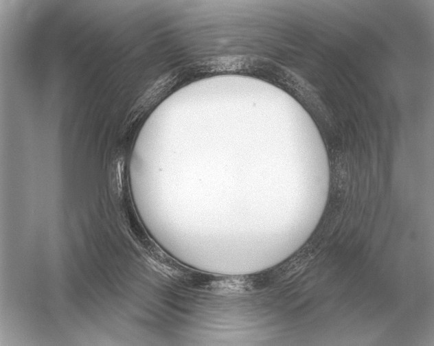 X0000051920118200507222144