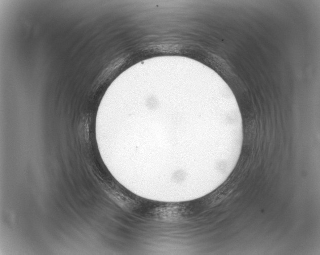 X0000051920120200507222144