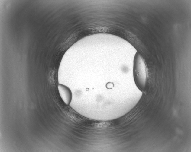 X0000051920122200507222144