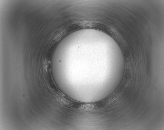 X0000051920125200507222144