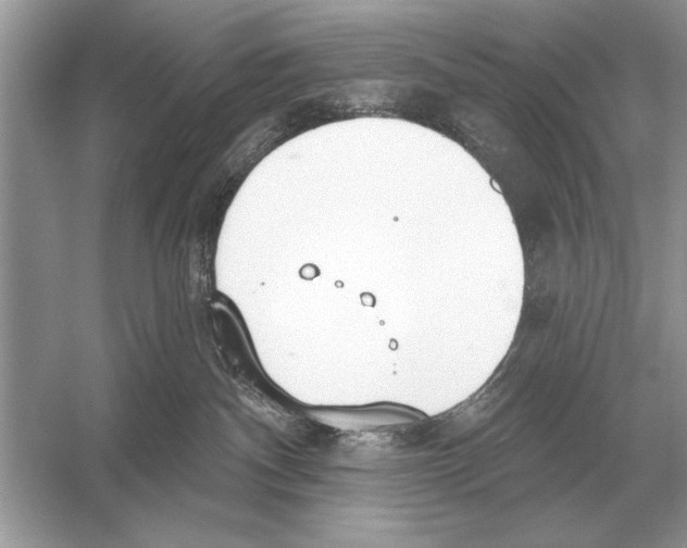 X0000051920140200507222144