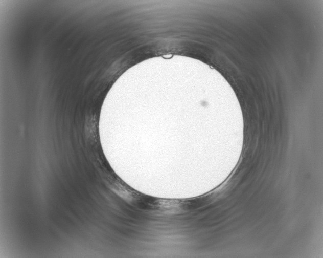 X0000051920144200507222144