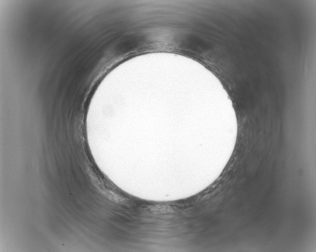 X0000051920146200507222143