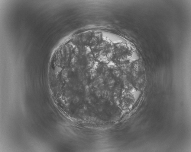 X0000051920149200507222143