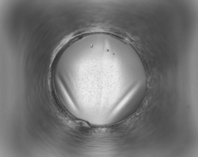 X0000051920152200507222143