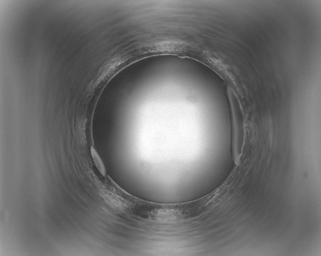 X0000051920154200507222143