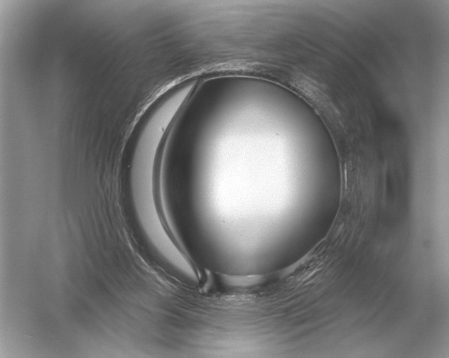 X0000051920156200507222143